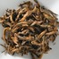 GOLDEN PU-ERH