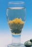 OCEAN WINDFLOWER