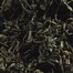 LAPSANG SOUCHONG TARRY