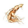 AROMACAFFE' GINSENG