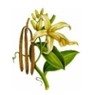AROMACAFFE' VANIGLIA