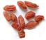BACCHE DI GOJI